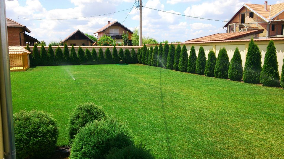 Read more about the article Formiranje travnjaka setvom smeše trava